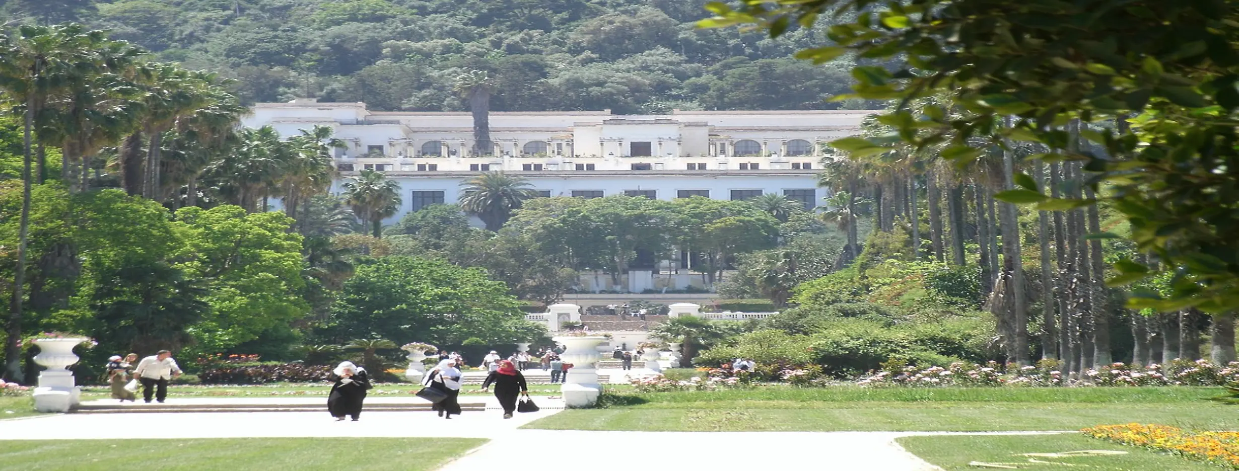 Image for National Museum of Fine Arts
